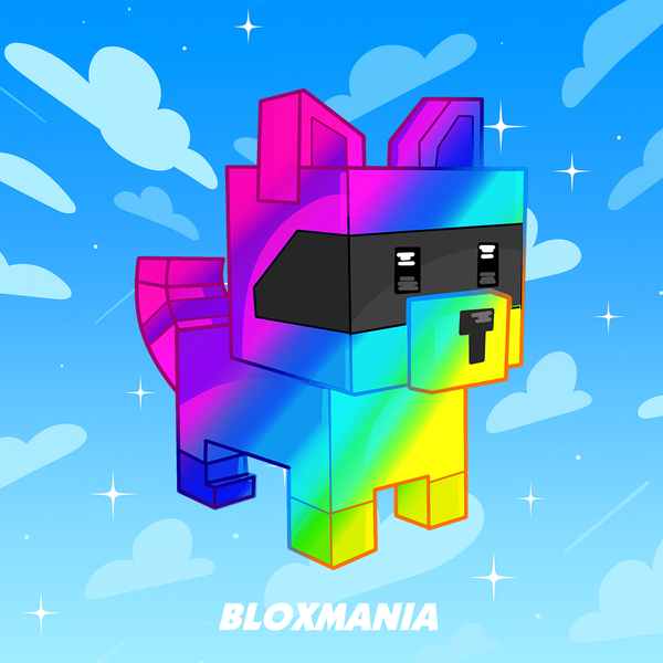 Rainbow Raccoon